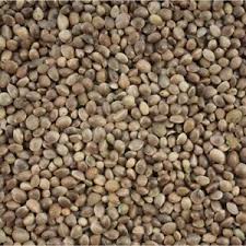 Why pick a screw weighing and packaging line that is semi-automatic? 6