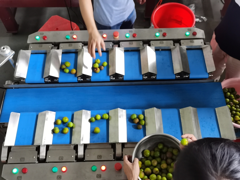 Who is the best Weighing machines manufacturer for you? Smart Weight? 5