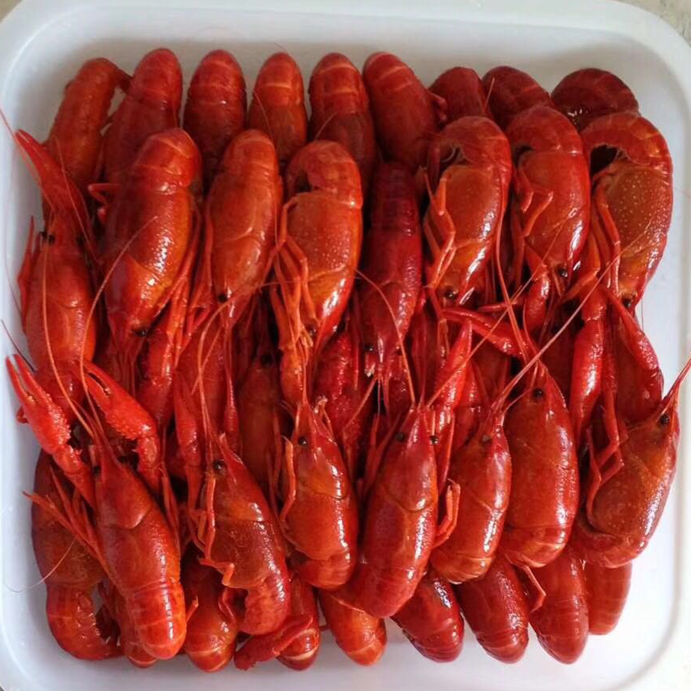 What machine you choose to pack crawfish into tray ? Multihead weigher? Or else? 1