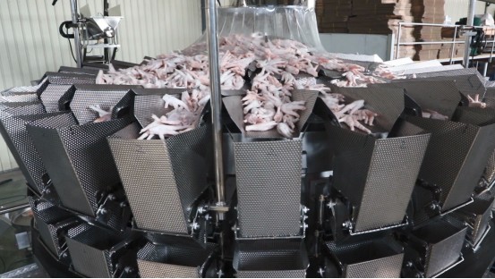 Automatic Chicken Paws Packing Machine In Tray 1