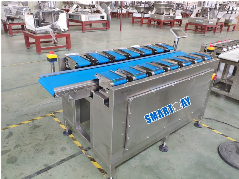 14 Head Linear Combination Weigher for Vegetables and Fruits 1