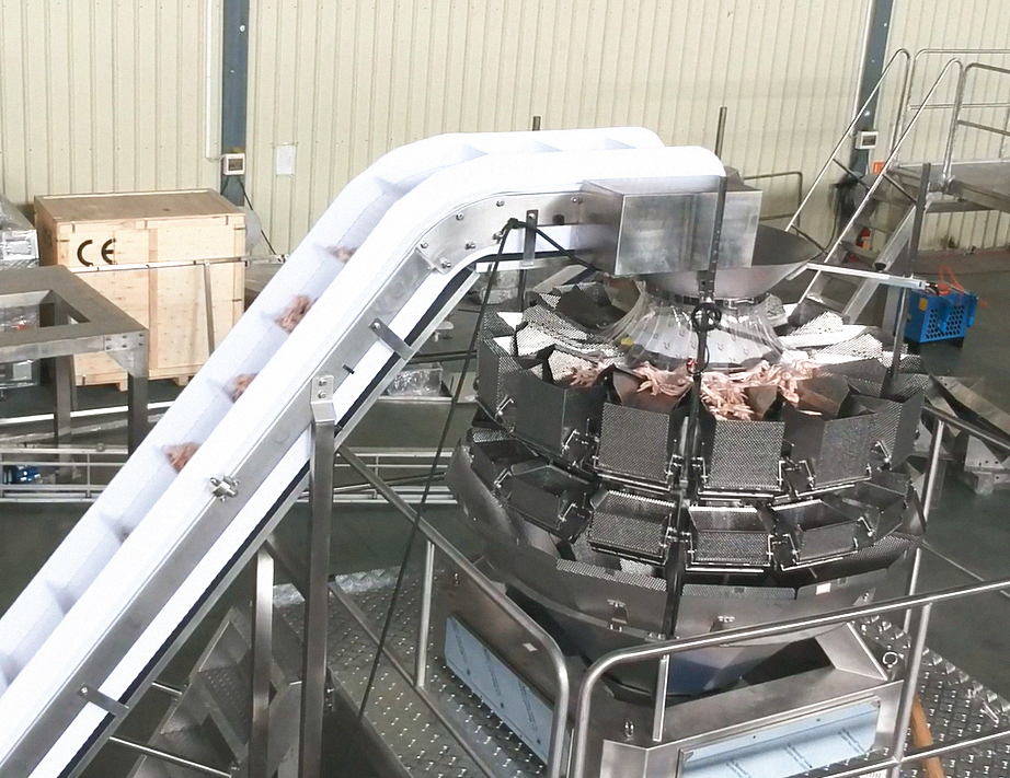 Frozen food chicken wings packaging machine 1