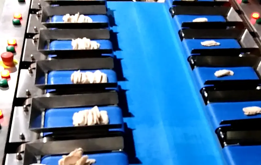 Salmon Multihead Weigher: Precise Weight Handling & Efficiency 4