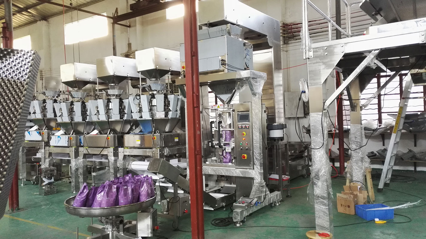 Caso di soluzione per macchina confezionatrice per chicchi di caffè 1