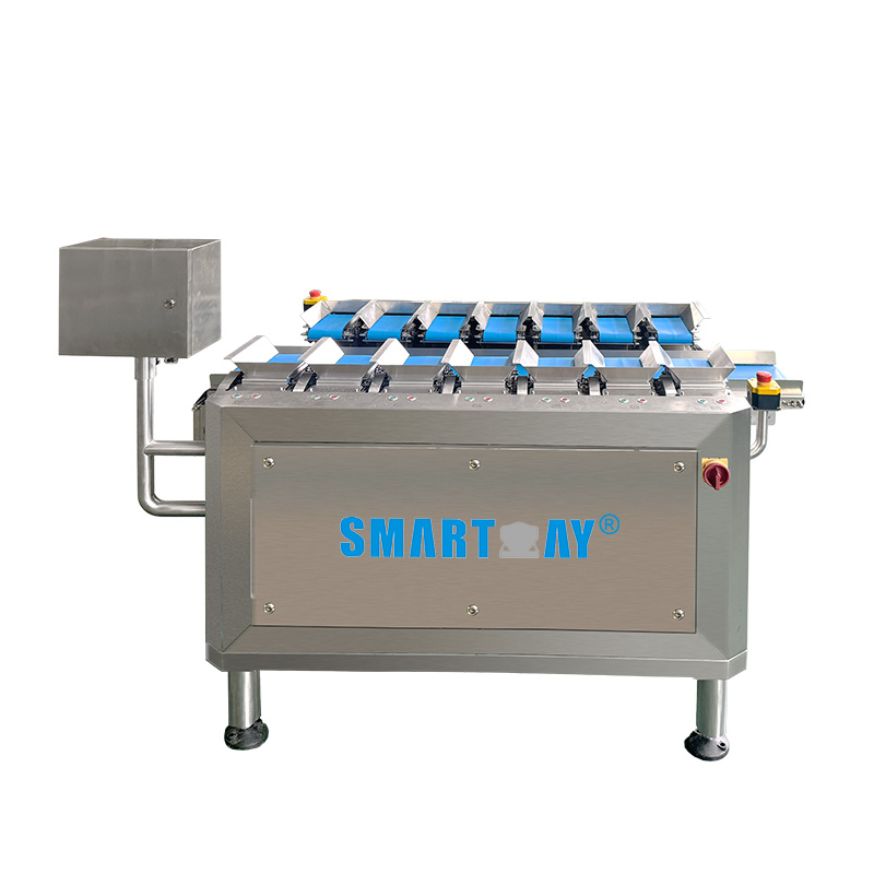 Belt-Type Multihead Combination Weighers for Fresh Frozen Salmon Cube Fillet Lump 7