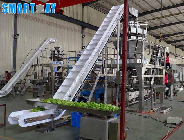 भाज्या कशा पॅक करायच्या? 1