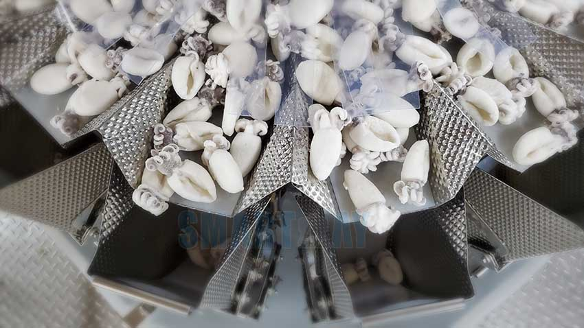 Which Fields can Multihead Weigher be Mainly Used for? 5