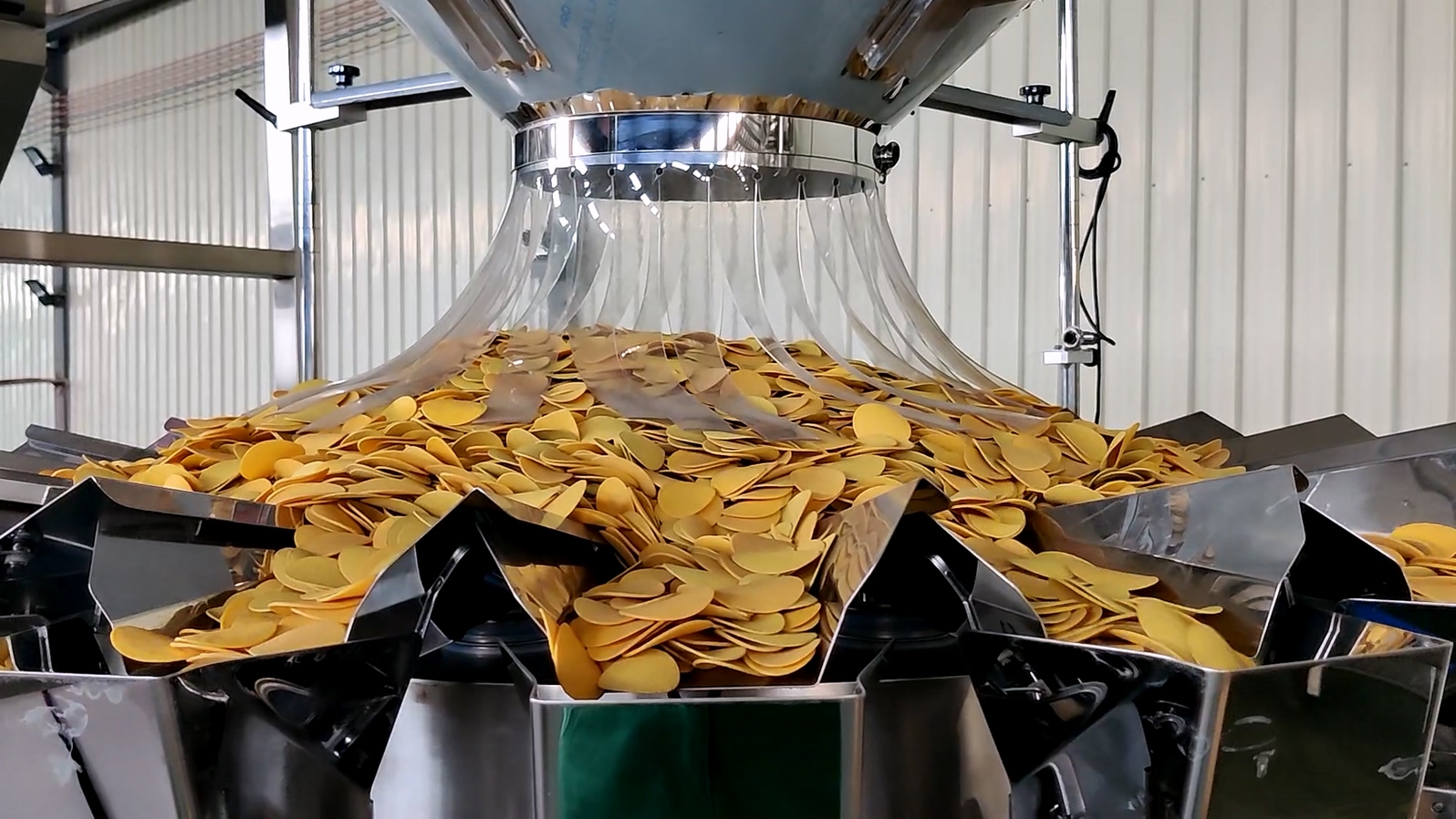 How To Choose A Chips Packing Machine? 1