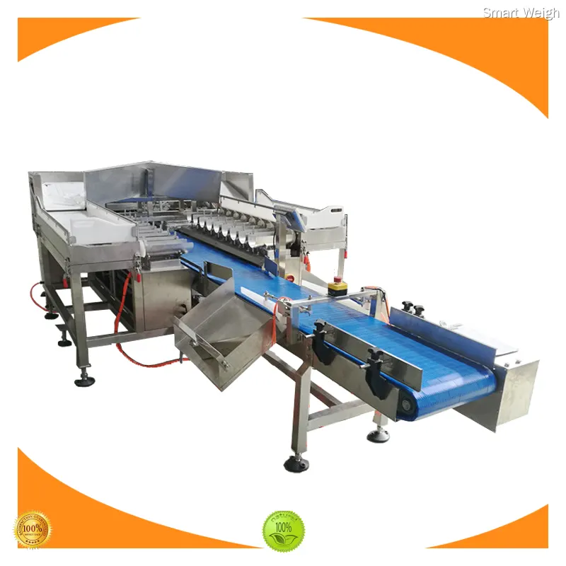 Quality metal detector factory price | Smart Weigh 1