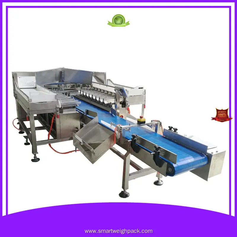 Smart Weigh | Cost-effective multi head combination weigher company 1