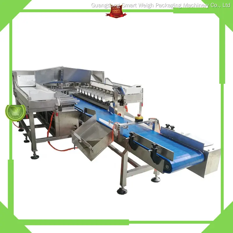 Good Selling weigher manufacturers | Smart Weigh 1