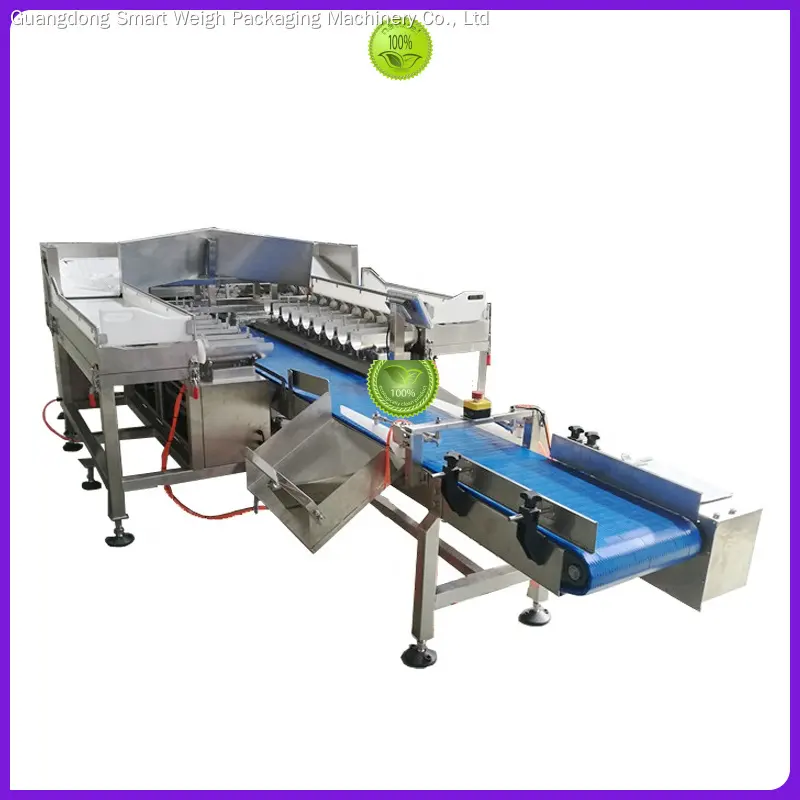 Smart Weigh | Best Price weigher with good price 1