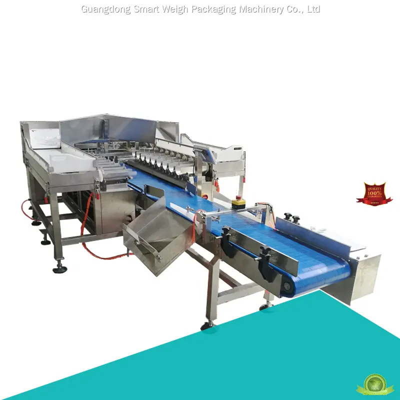 Smart Weigh | Popular checkweigher China supplier 1