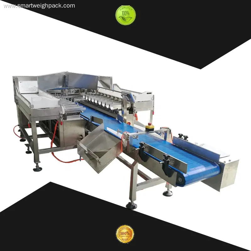 Custom weigher machine factory price Manufacturer | Smart Weigh 1