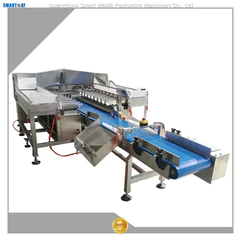 Custom auto weighing machine factory direct supply Manufacturer | Smart Weigh 1