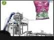 Custom granule packing machine price supply Manufacturer | Smart Weigh 1