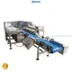 packing machine at Wholesale Prices | Smart Weigh 1
