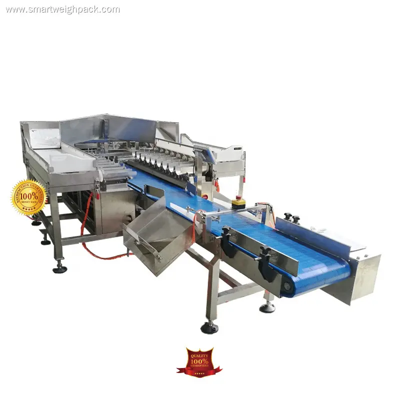 Smart Weigh | Modern checkweigher factory price 1