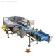 Smart Weigh | Modern checkweigher factory price 1