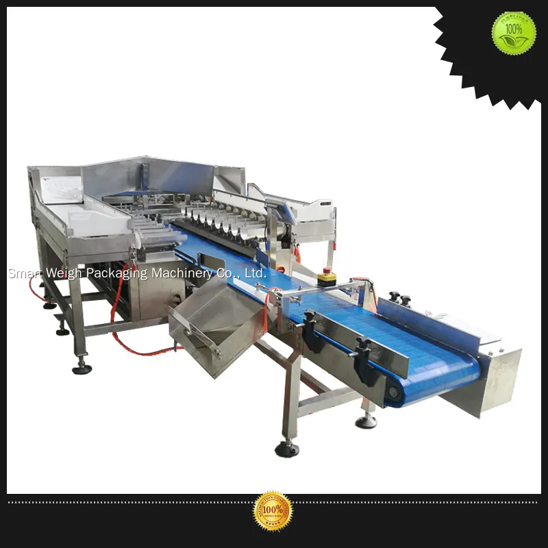 Custom linear head weigher long-term-use Manufacturer | Smart Weigh 1