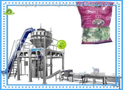 Custom granules filling machine quality assurance Manufacturer | Smart Weigh 1