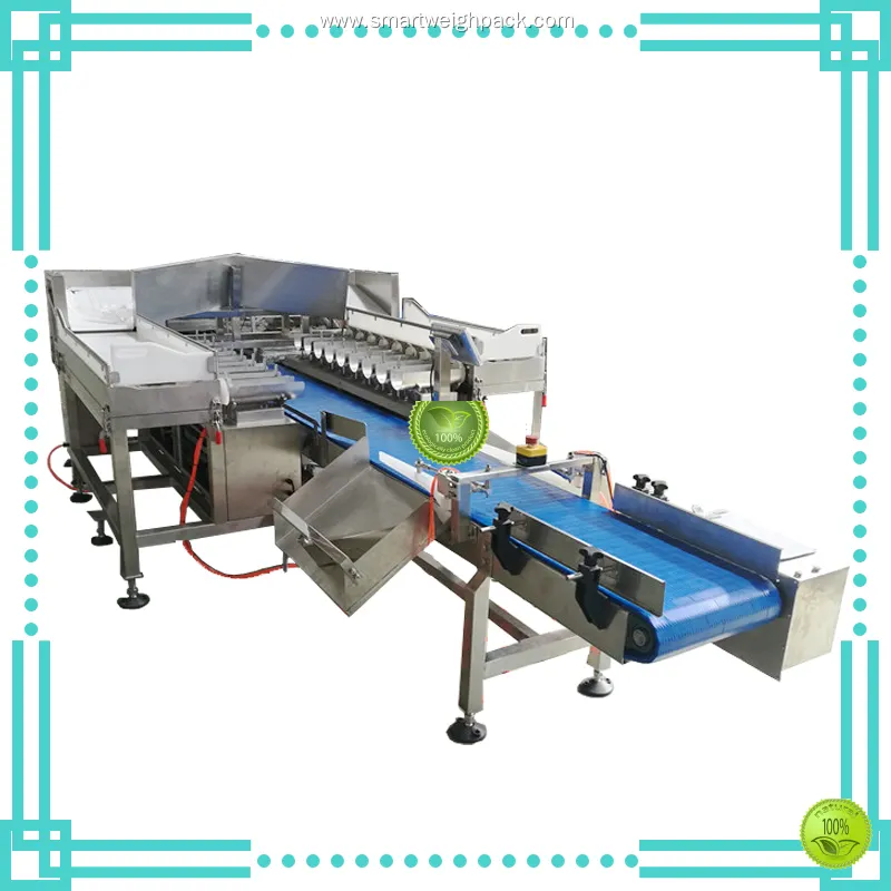 Custom computer combination weigher with custom services Manufacturer | Smart Weigh 1