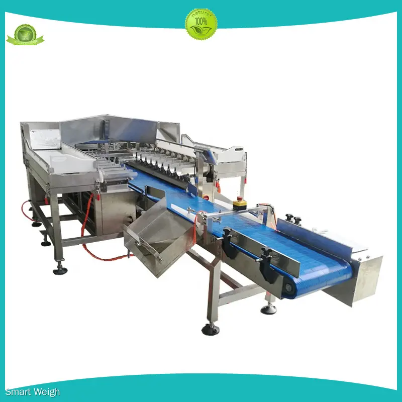 Cost-effective automatic weighing free design | Smart Weigh 1