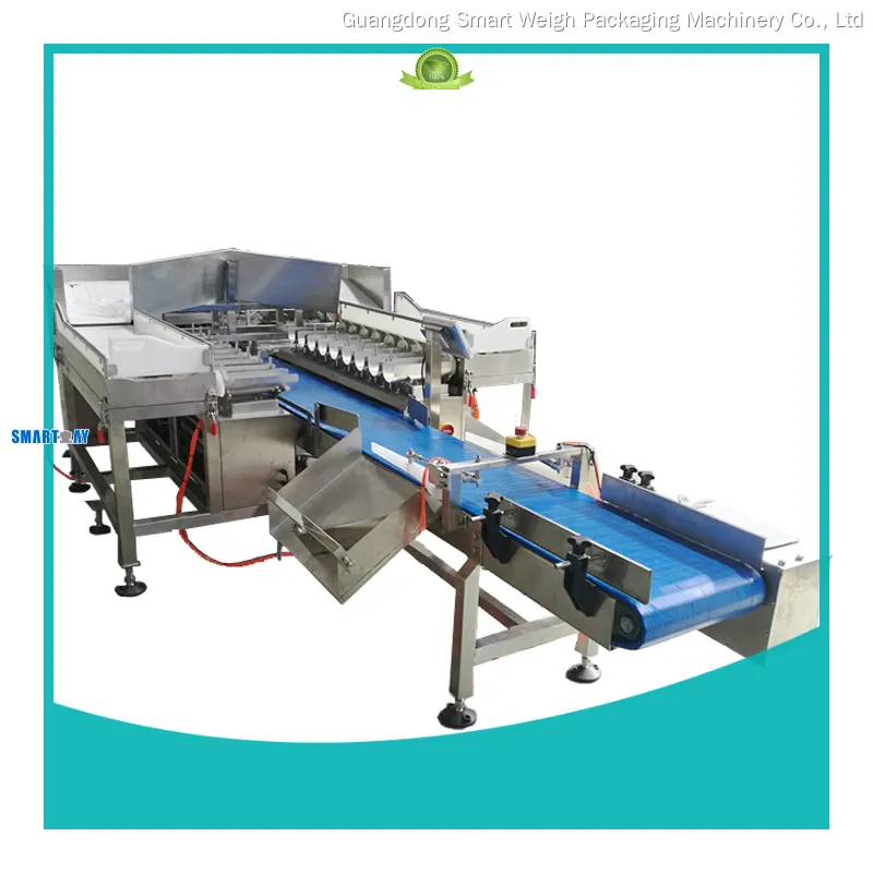 Smart Weigh | precise weight machine price company 1