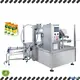Smart Weigh | cost-effective automatic liquid filling and sealing machine from China 1