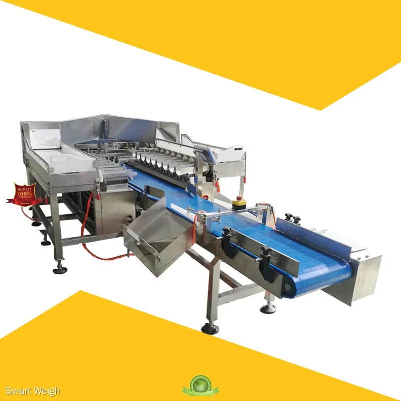 Custom combination scale manufacturers Manufacturer | Smart Weigh 1