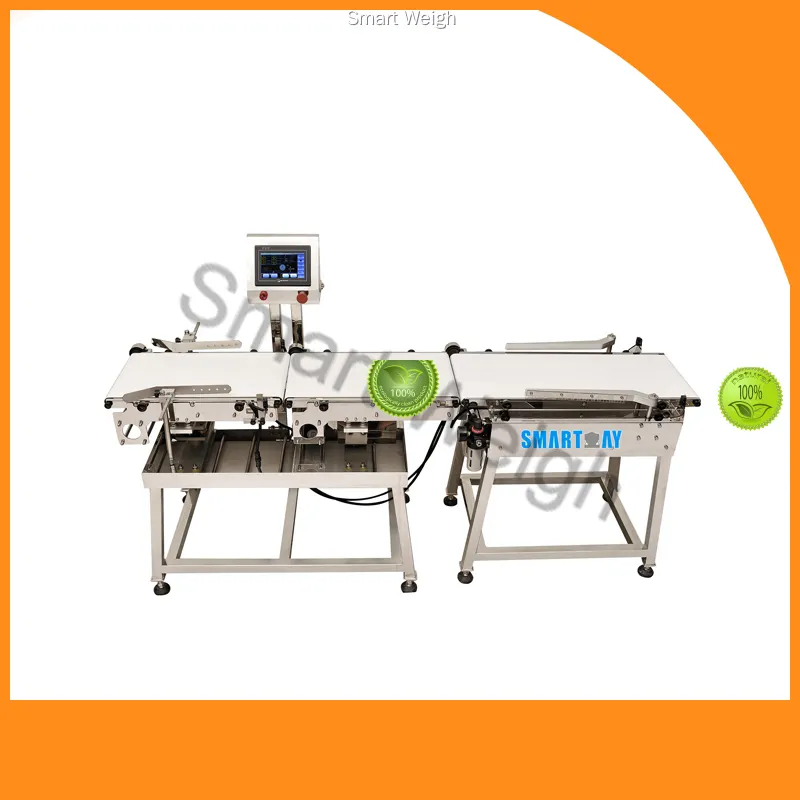 bulk production conveyor belt metal detector manufacturers series | Smart Weigh 1