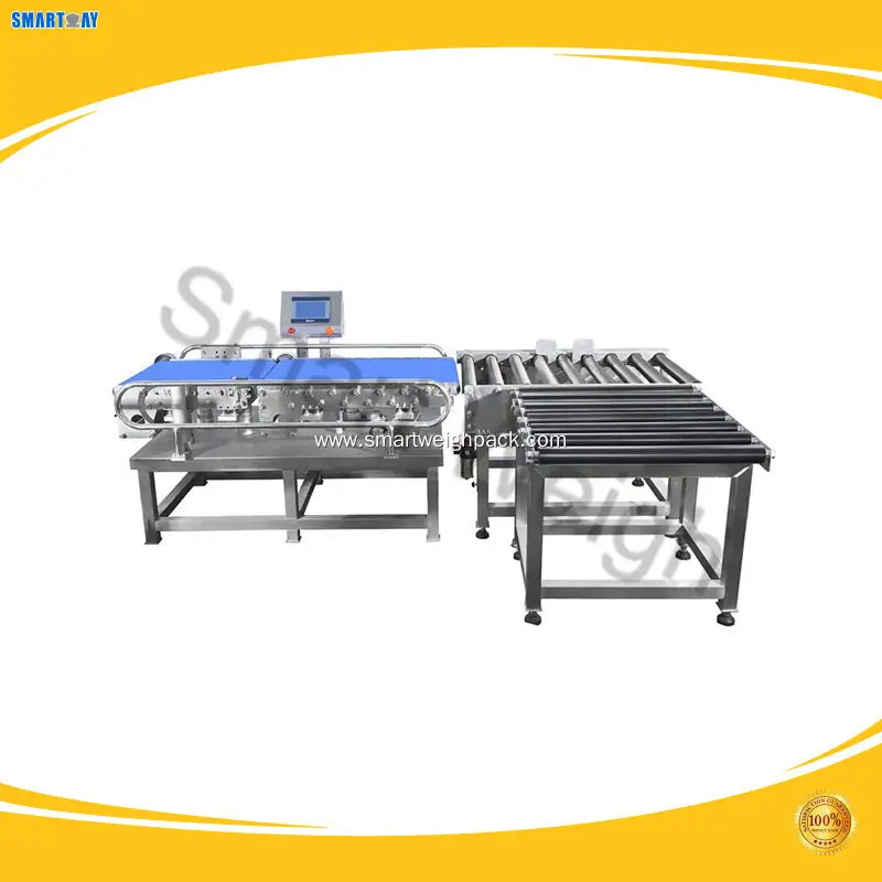 Smart Weigh | Popular food metal detectors widely-use 1