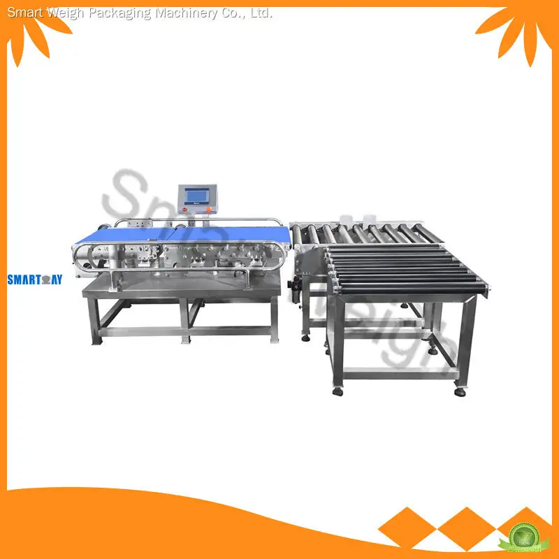 OEM & ODM food metal detectors Price List | Smart Weigh 1