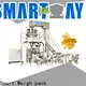 top vertical pouch packing machine nitrogen factory for chips packing 1