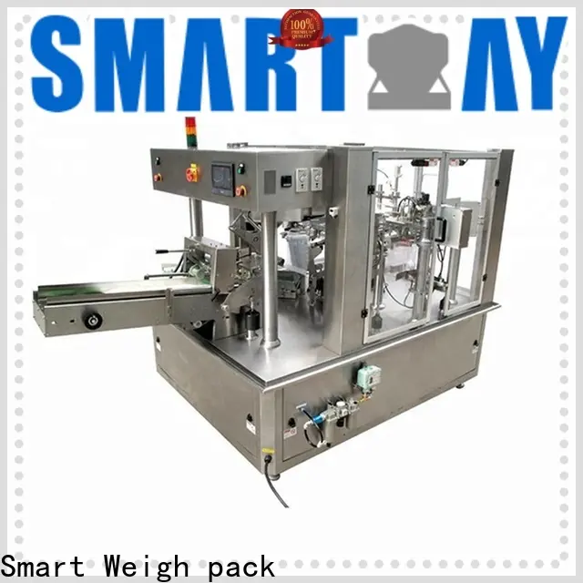 pouch packing machine in india fruit factory price for food packing 1