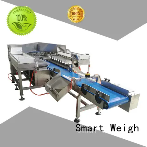 Smart Weigh pouch packing machine supply for foof handling 1