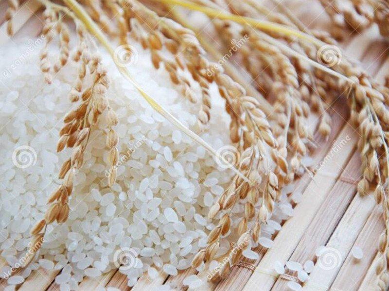 Smart Weigh Brand powder vertical measure bag automated packaging systems 6