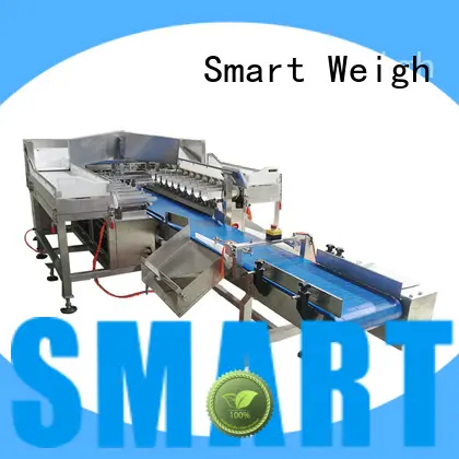 Smart Weigh head packing machine order now for foof handling 1