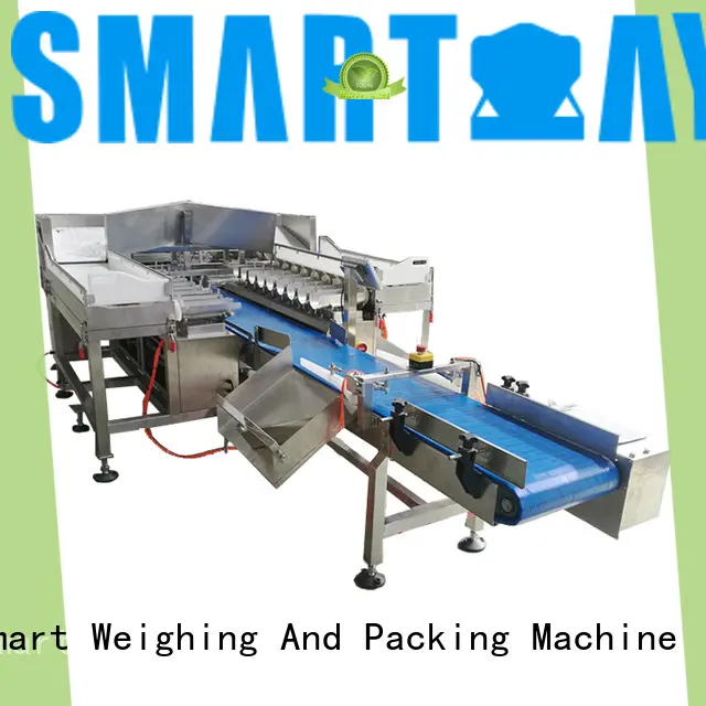 accurate linear combination weigher fish from China for foof handling 1