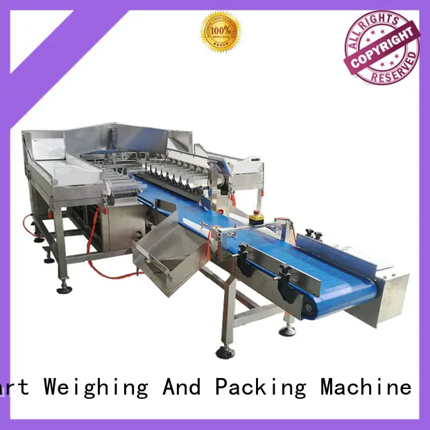 Smart Weigh best sealing machine fish for food weighing 1