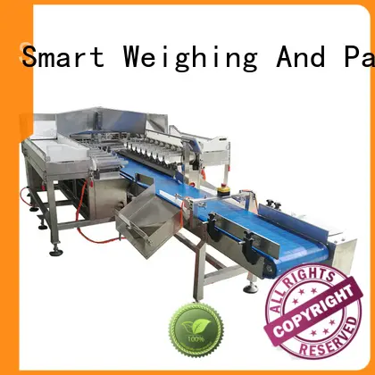 Smart Weigh smart combination scale directly sale for foof handling 1