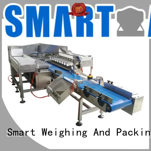 weigh combination scale free quote for food weighing Smart Weigh 1