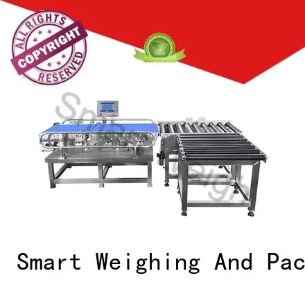 Smart Weigh SW-C500 Checkweigher2 1