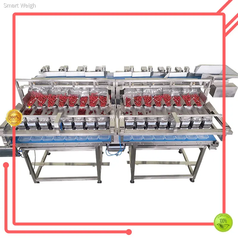 top multihead weigher packing machine directly sale | Smart Weigh 1
