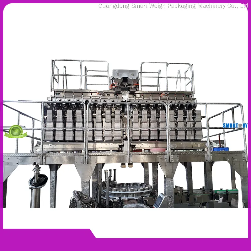 bulk production automatic filling machine company | Smart Weigh 1
