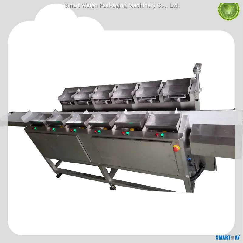 Custom linear weigher machine customized Manufacturer | Smart Weigh 1