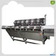 Custom linear weigher machine customized Manufacturer | Smart Weigh 1