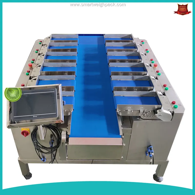 Custom multihead weigher supply Manufacturer | Smart Weigh 1