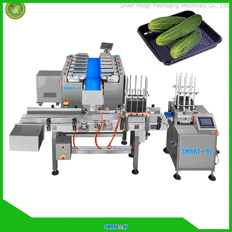 Custom multihead weigher packing machine for business Manufacturer | Smart Weigh 1