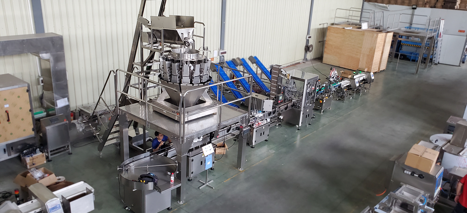 Hvernig fjölhausapökkunarvél gjörbyltir pökkunarferlum? 5